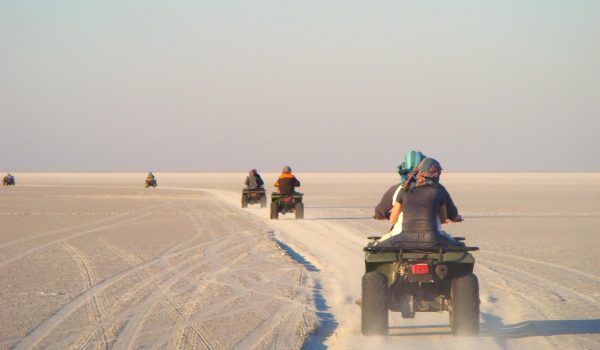 desert, quad, atv, motorcycle, botswana, sand, nature, adventure, trip, outdoors, makgadikgadi, the needle, savory