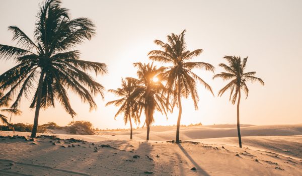 visitar+barrinha+jericoacoara+passeio