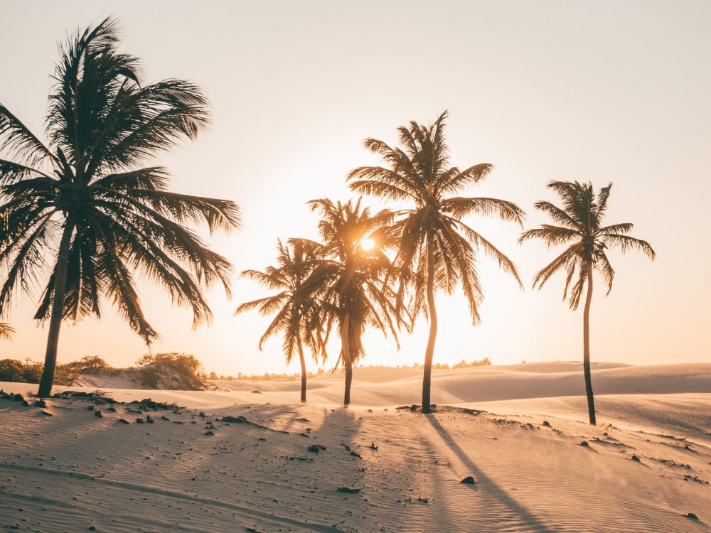 visitar+barrinha+jericoacoara+passeio